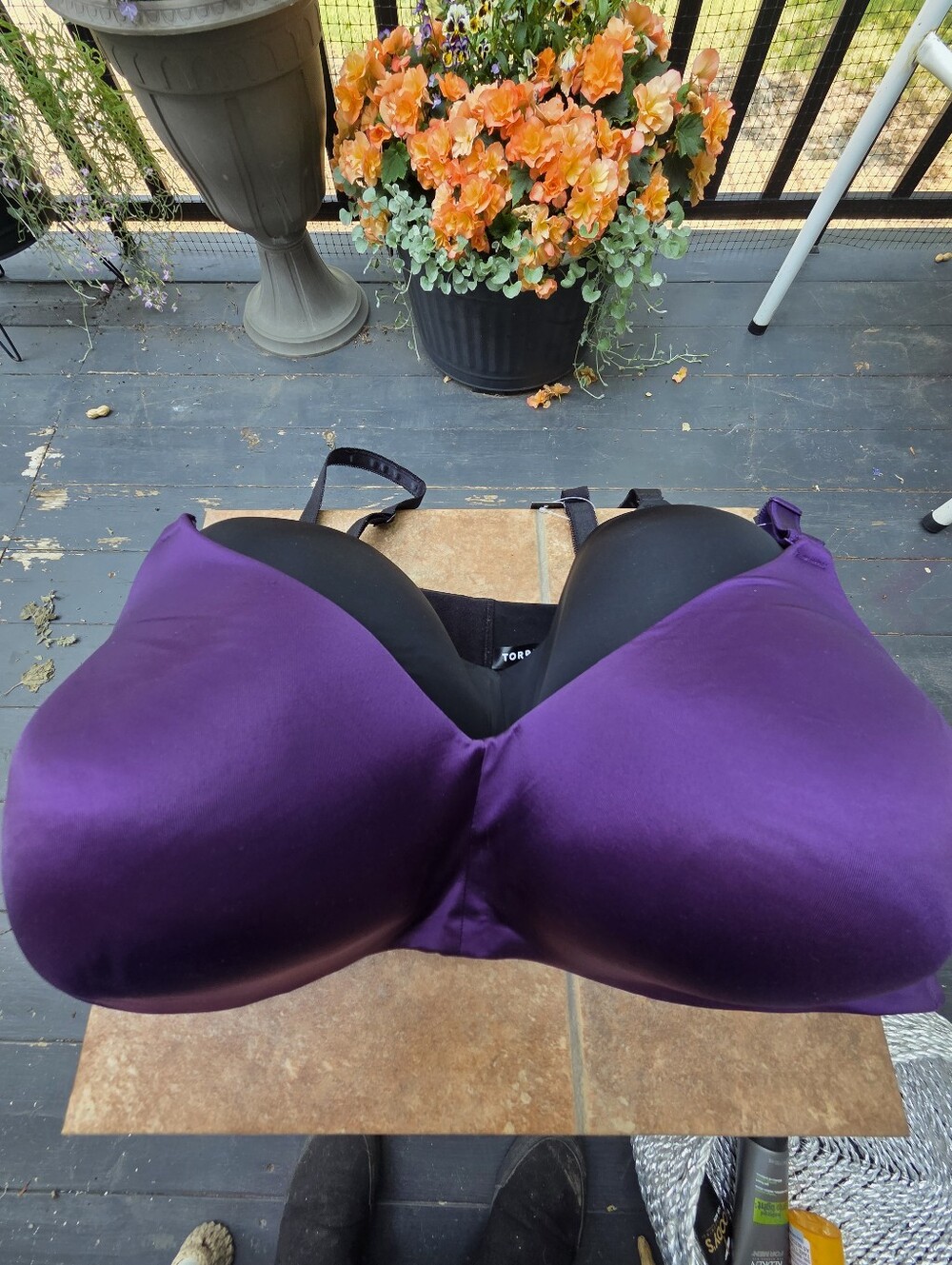 Purple DREAM WIRE FREE BRA